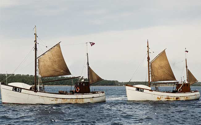 "Two historical white Danish fishing boats with brown sails, marked L 53 and L 273, sailing on the water. This represents Priess & Co.'s century-long fishing tradition." width="651" height="404"